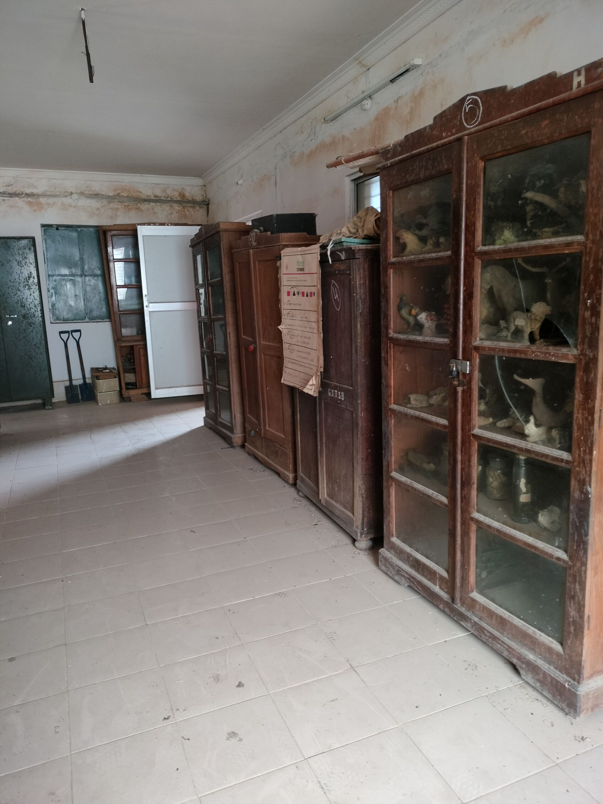 Lab